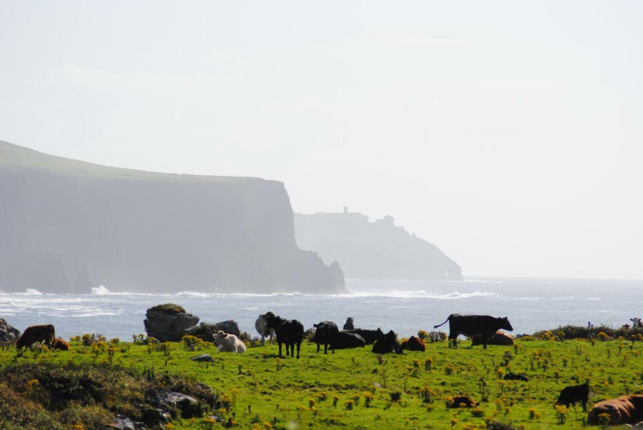 Doolin Heights Apartment Dış mekan fotoğraf